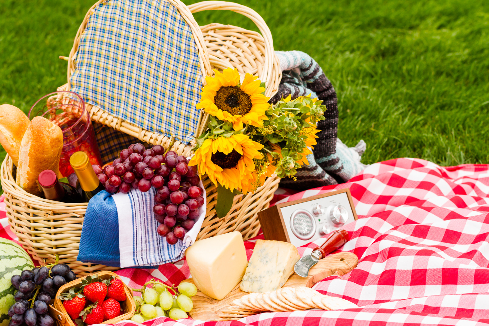Picnic
