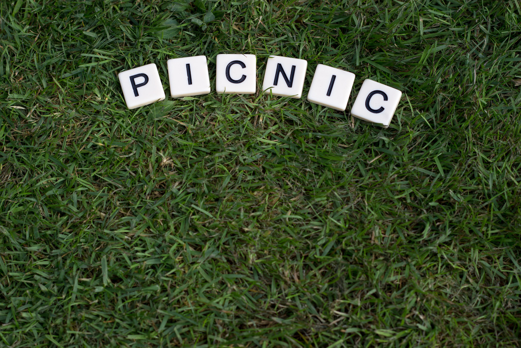 Picnic